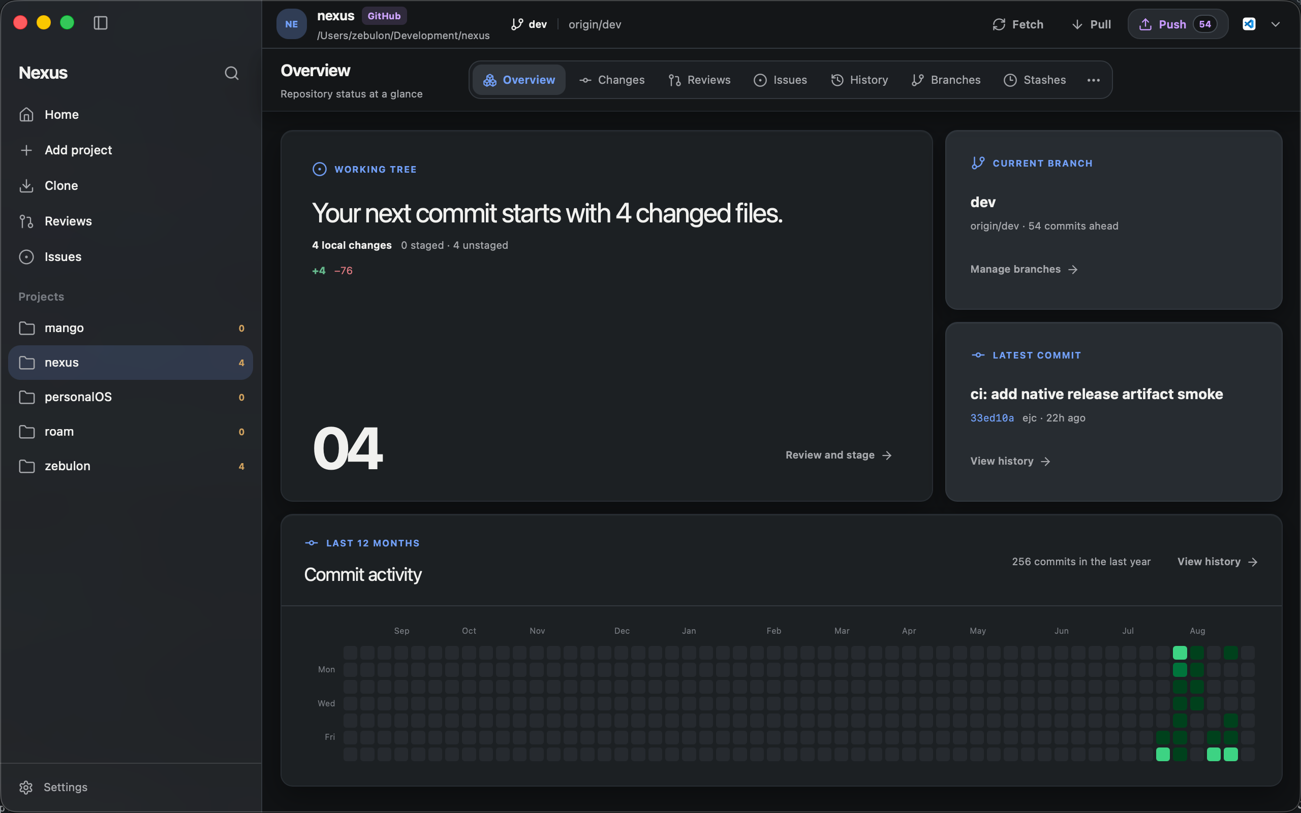 Nexus desktop app showing the repository overview screen